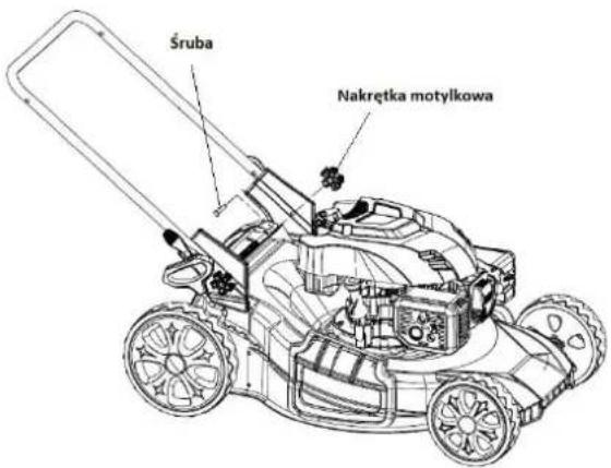 Śruba Nakrętka motylkowa