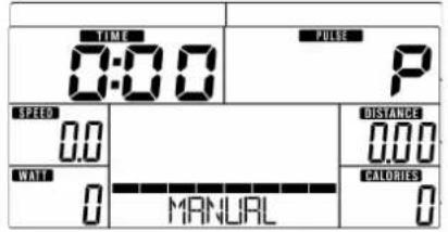 TIME 0:00 PULSE P SPEED 0.0 DISTANCE 0.00 WATT 0 MRNURL CALORIES 0