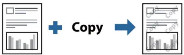 EPSON WorkForce Pro WF-M5899DWF - Drukowanie wzoru zabezpieczającego przed kopiowaniem - 1