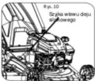 Rys. 10 Szyjka wiewu deju silakowego