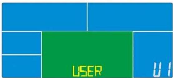 LISER