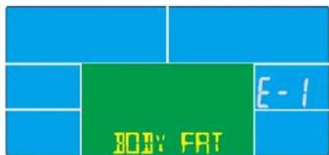 BODY FAT E - 1