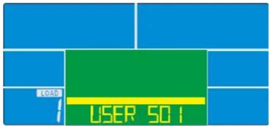 LOAD USER 501