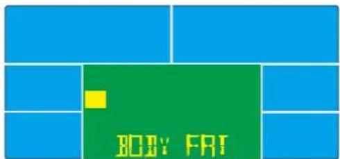 BODY FAT