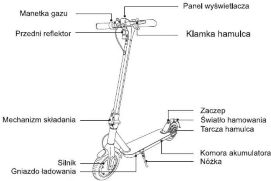 Manetka gazu Przedni reflektor Mechanizm składania Silnik Gniazdo ładowania Panel wyświetlacja Klamka hamulca Zaczep Światło hamowania Tarcza hamulca Komora akumulatora Nóżka