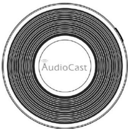 iEAST M5 AudioCast - Zawartość zestawu - 1