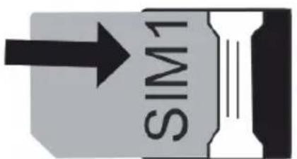 SIM1