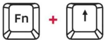 Fn + ↑
