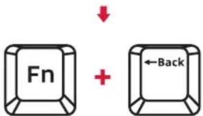 Fn + Back