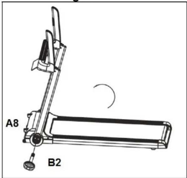 A8 B2