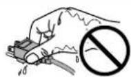 EIZO FlexScan S2031WH - Do not touch the plug with wet hands. - 1