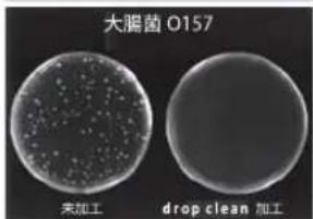 大腸菌 O157 未加工 drop clean 加工