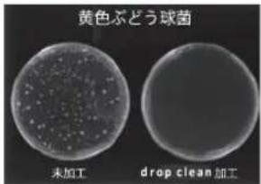 黄色ぶどう球菌 未加工 drop clean 加工