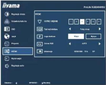IIYAMA ProLite XUB2494HS-B2 - Direct - 4