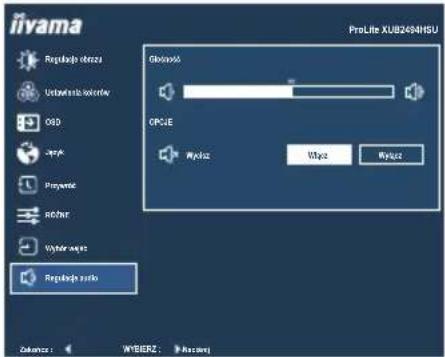 IIYAMA ProLite XUB2494HS-B2 - Direct - 1