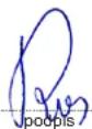Dezal 301.5 PROFI W INOX - DEKLARACJA ZGODNOŚCI NR 3/2015 - 1
