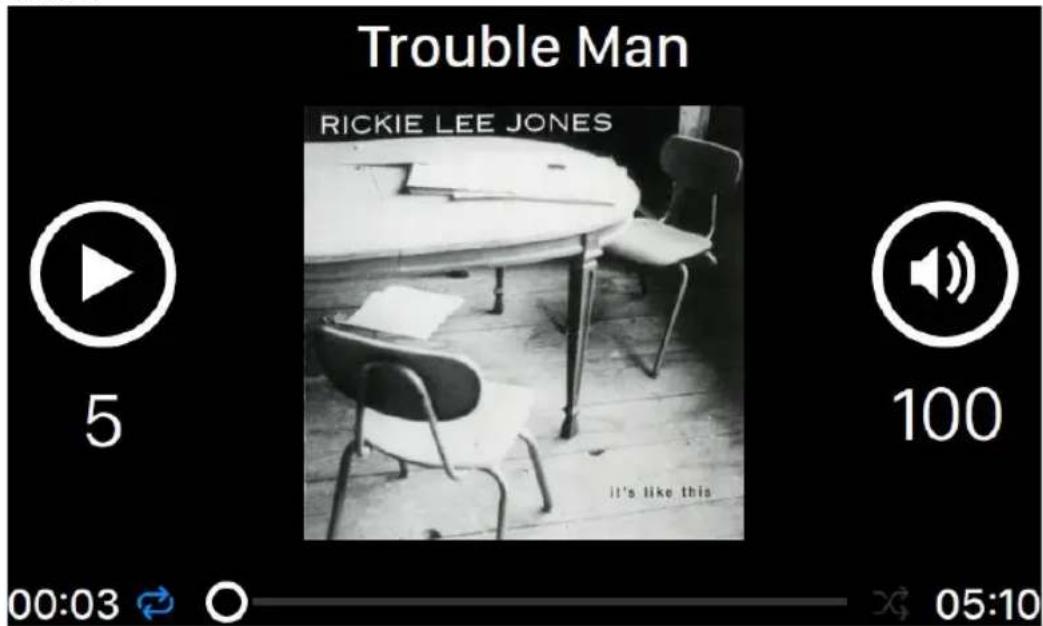 Trouble Man RICKIE LEE JONES 5 100 00:03 05:10