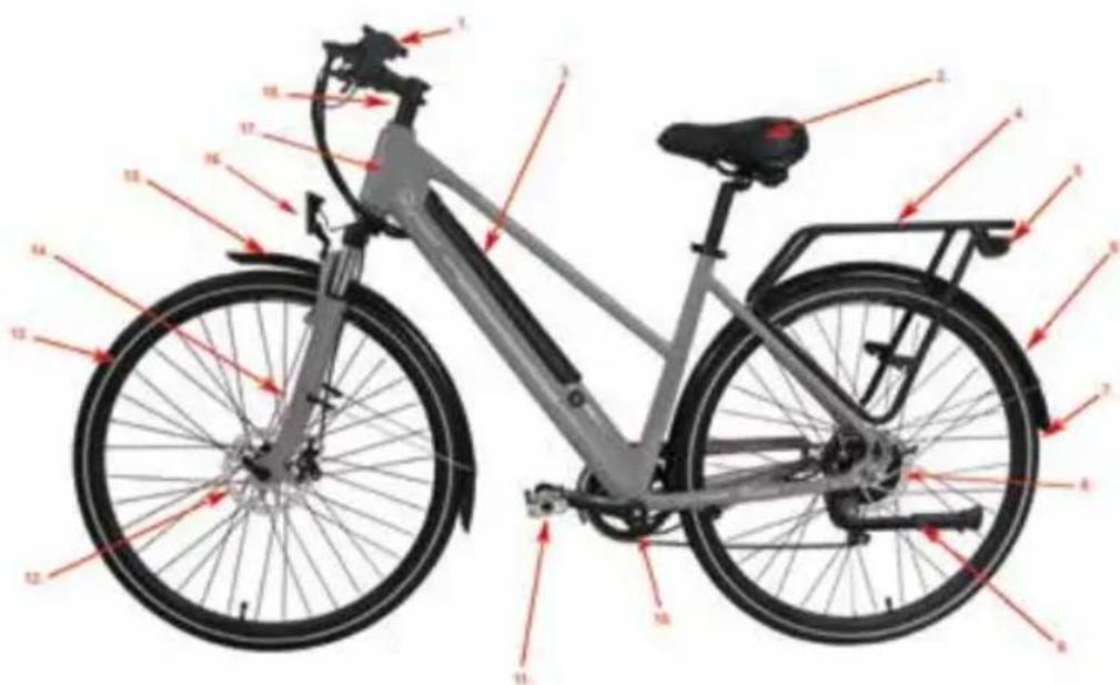 SKYMASTER Energy R2 Pro - Schemat roweru - 1