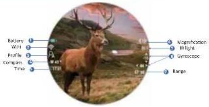 Batterg WH Profile Compass Time 1731 Magnification Light Genoscope Range