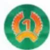 Rebel Beyond the Sun: Liderzy nowej ery - Elementy rozszerzenia - 4