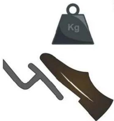 Kg