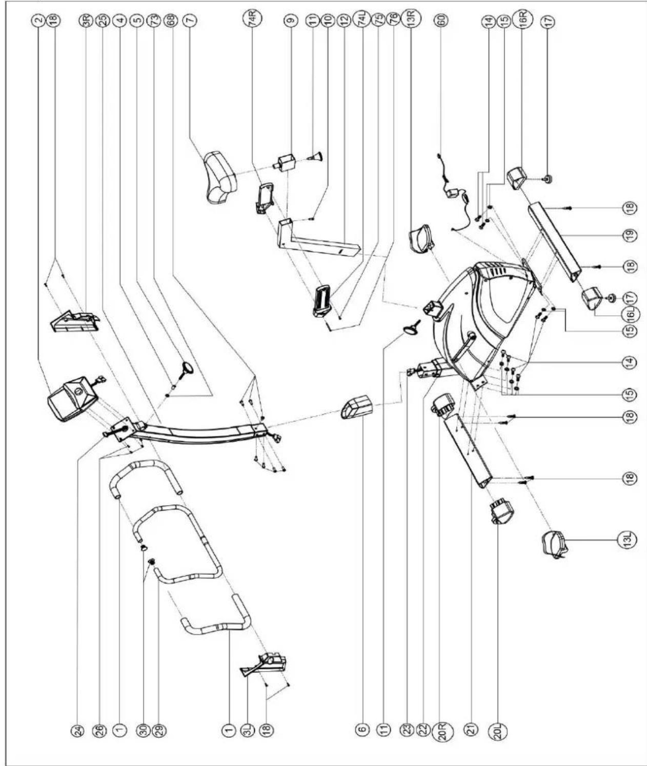 Hammer Exum XTR - Zmiany metabolizmu w czasie treningu: - 2