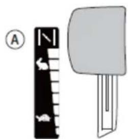 A N