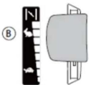 B