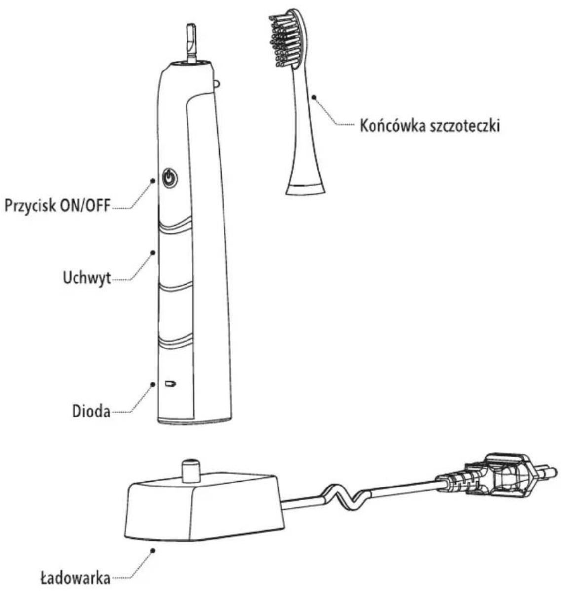 Przycisk ON/OFF Uchwyt Dioda Ładowarka Końcówka szczoteczki