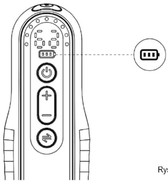 Rys