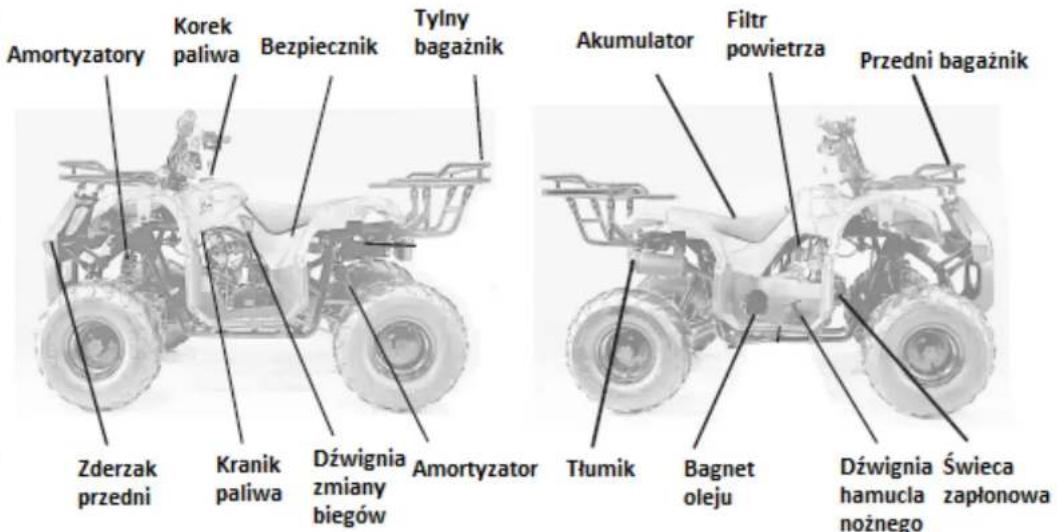 Amortyzatory Korek paliwa Bezpiecznik Tylny bagaźnik Akumulator Filtr powietrza Przedni bagaźnik Zderzak przedni Kranik paliwa Dźwignia zmiany biegów Amortyzator Tłumik Bagnet oleju Dźwignia hamucla nożnego Świeca zapłonowa