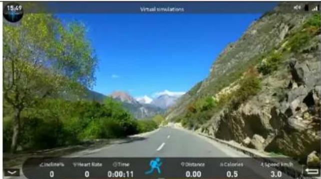 15:49 Virtual simulations LineStyle Heart Rate Time Distance Calories Speed km/h 0 0 0:00:11 0.00 0.5 3.0
