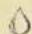 Granna Gutenberg - Symbol Nagroda - 1
