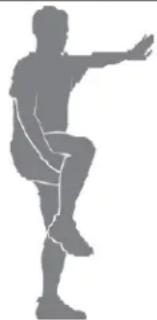 BOWFLEX T56 - Dynamiczny wyrzut kolana - 1