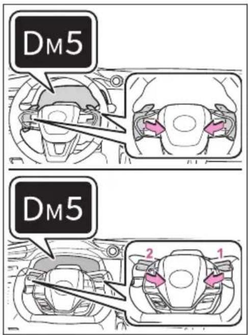 DM5 DM5 2 1