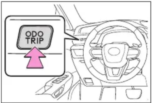 ODO TRIP