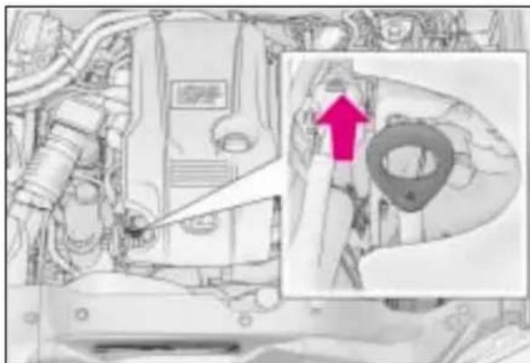 LEXUS RC 300h (2018) - Sprawdzanie poziomu i dolewanie oleju silnikowego. - 1