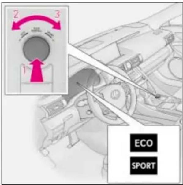 2 3 1 ECO SPORT