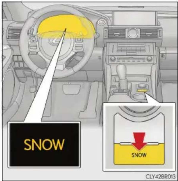 SNOW SNOW CLY42BR013
