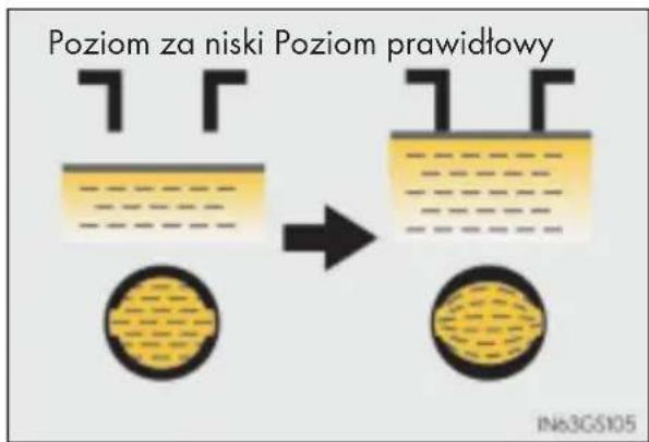 Poziom za niski Poziom prawidłowy IN63GS105