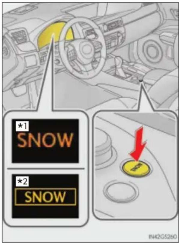 *1 SNOW *2 SNOW