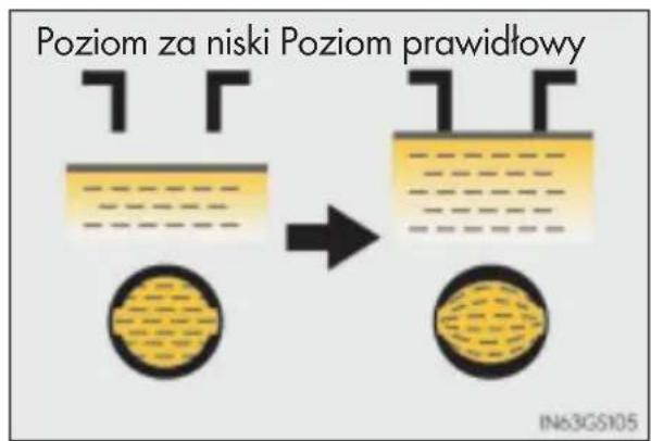 Poziom za niski Poziom prawidłowy IN63GS105