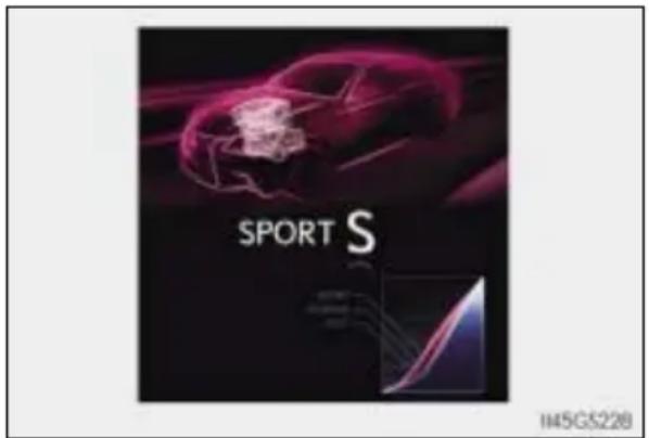 SPORT S 145GS228