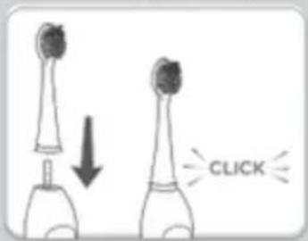 CLICK