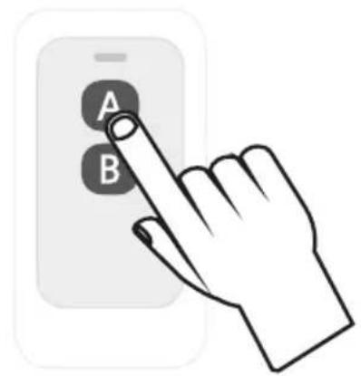 A B