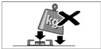 kg