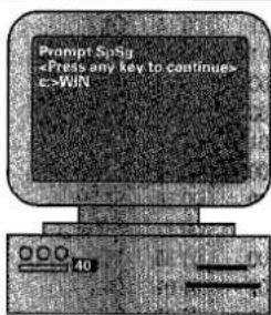 Prompt SpSg E->WN