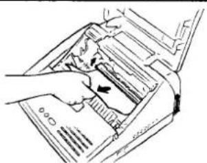 TOSHIBA TF605 - Beweeg de procescartridge - 2