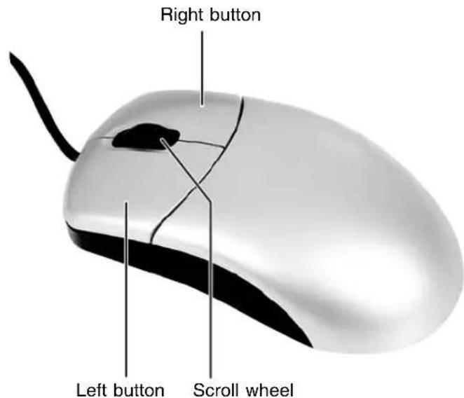 Right button Left button Scroll wheel