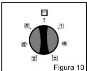 Figura 10